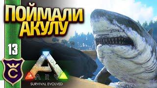 ПРИРУЧЕНИЕ МЕГАЛОДОНА! ARK Survival Evolved #13