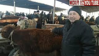 МАНГИТ МОЛ БОЗОР 2-К,ИСМ 07-02-2019. MANG'IT MOL BOZOR 2-QISM 07-02-2019.