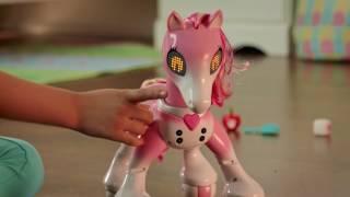 Zoomer | How To Play With Zoomer Show Pony