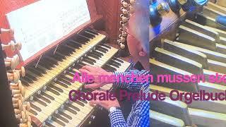 Bach Tuesday at Ewell 26 September Jonathan Holmes on the Willis organ