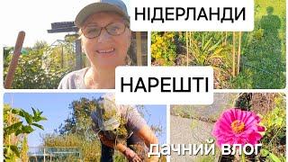 Чи легке життя українців за кордоном Плани Нідерланди Дача @elenaholland5 #нідерланди