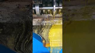 Screw oil press machine to press mustard oil in our workshop #oilpressmachine#mustardoil#oilmaking