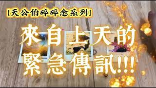 [天公伯碎碎念系列］#162 來自上天的緊急傳訊！！！ (搭配占卜小夥伴) 宇宙/天使傳訊