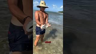 This Guy Caught A Shark With His Bare Hands