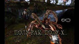 19. Пришли в Гнаар-Мок | The Elder Scrolls III: Morrowind Fullrest Repack