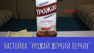 Настойка "Урожай жгучий перчик". Аж морда горит!