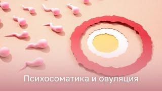  Как психосоматика влияет на овуляцию?