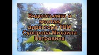 Мухоршибирь-ученики в библиотеке- школа №1. 2009 год