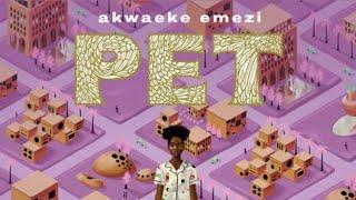 Pet by Akwaeke Emezi  books I read for the #transrightsreadathon