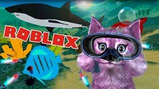 СТРОЮ СВОЙ АКВАРИУМ ТАЙКУН МОРСКАЯ ЖИЗНЬ! roblox Sea Life Tycoon