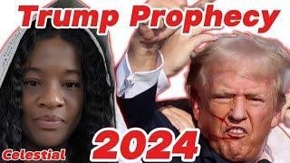 Celestial's Donald Trump Prophecy is unfolding #celestial #donaldtrumpnews #youtubeviral