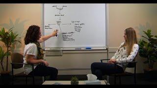 Developing a Panic Formulation (CBT Clinical Demonstration)