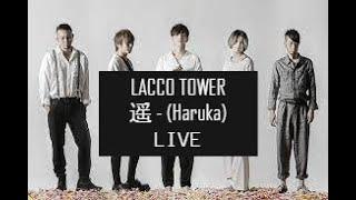 LACCO TOWER  -  遥「 Haruka 」 LIVE DVD (From "Dragon Ball Super")