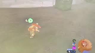 BREAKING NEWS: Bokoblin challenges lynel for king... (not to good quality)