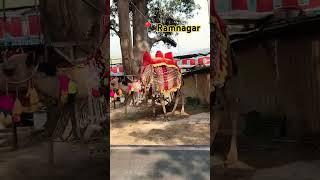 #minivlog #going to maa girija devi mandir in ramnagar #biketrip #travelvlog #ramnagar #uttrakhand