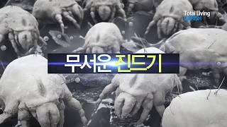 진드기제거크리너 더행복한샵