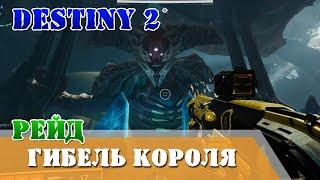 Рейд Гибель короля QHD Destiny 2