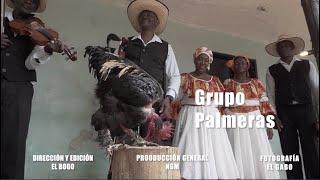 EL GALLO DE JOSÉ - Grupo Palmeras