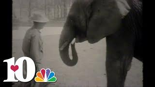 WBIR Vault: Zoo Knoxville welcome first elephant (1963)