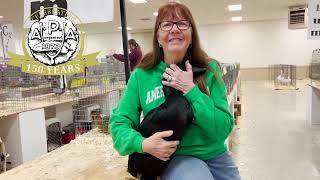 Julie Couch Shares About Cayuga Ducks