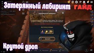 ЗАТЕРЯННЫЙ ЛАБИРИНТ ГАЙД / КРУТОЙ ДРОП / 5 ЭТАПОВ / Black Desert Mobile Forgotten Labyrinth