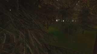 Tree Simulator 2013: Treeloaded - Desura Launch Trailer