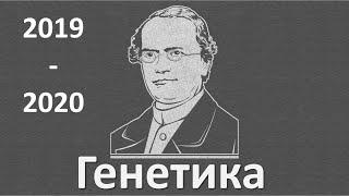 10. Генетика часть I (9 или 10-11 класс) - биология, подготовка к ЕГЭ и ОГЭ 2020