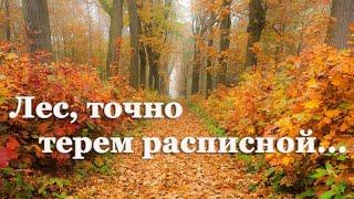  Иван Бунин. Листопад | Стихи о природе поэтов 20 века