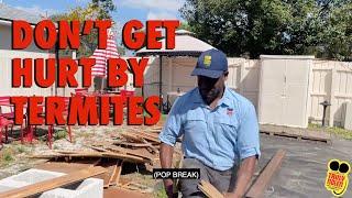 Don't Get Hurt By Termites - Tips with LT of Truly Nolen