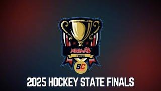 2025 MHSAA Hockey State Finals | STATE CHAMPS! AT THE STATE FINALS