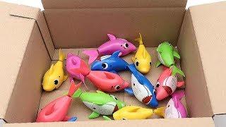 15 Shark Family In Surprise Box - Baby Shark Transformer Sea Animals Toys For Kids 아기상어 가족