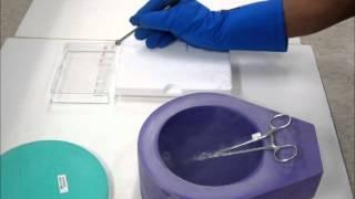 Flash Cooling of Crystal in Bulk Liquid Nitrogen Cryo Vial Tutorial