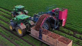 Wortels rooien | Carrot harvest | Möhren roden | John Deere | ASA-LIFT | New Holland | Deutz-Fahr