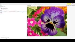 HTML srcset attribute - responsive images - PART 1