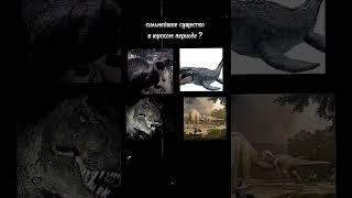 огурец в соло