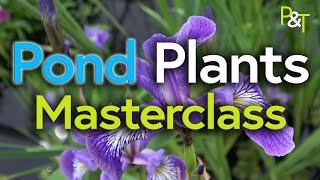 Pond Plant Masterclass (Aquatic Plants) - Pots & Trowels