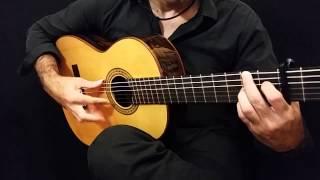 Francisco Esteve  Ziricote Flamenco Guitar