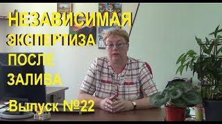 Независимая экспертиза после залива квартиры Выпуск №22 Спроси у эксперта