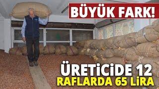 Fındık Fiyatlarında Büyük Fark! Üreticide 12, Market Raflarında 65 Lira