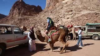 Bedouin Expedition Camp - Hotel in Wadi Rum, Jordan