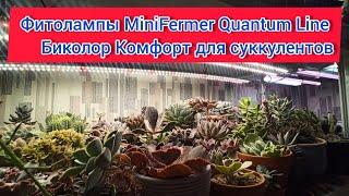 Фитолампы MiniFermer Quantum Line Биколор Комфорт для суккулентов. Мои впечатления