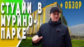 Доступные Студии | экспресс-обзор Мурино