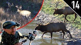 SOUTH DAKOTA BUCKS and BULLS! (AWESOME Elk Encounter!) | What Are These Deer Eating?