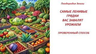 Секрет ЧУДО ГРЯДКИ без ухода и лишних хлопот дает огромный урожайОгород для ленивых