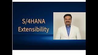 SAP S4HANA Extensibility