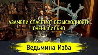 АЗАМЕЛИ СПАСЁТ ОТ БЕЗЫСХОДНОСТИ. ОЧЕНЬ СИЛЬНО. ДЛЯ ВСЕХ. ВЕДЬМИНА ИЗБА ▶️ ИНГА ХОСРОЕВА