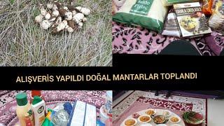 DOĞAL MANTAAR TOPLADIM⁉️ELMAS ABLAMA GİTTİMBİMDEN ALIŞVERİS YAPTIM‼