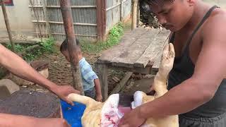 Pig cutting Assam shop