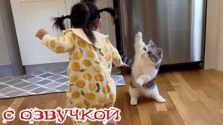 Funny Animal Videos 2024 - Funniest Dogs and Cats Videos #290