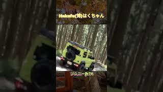 【Hakuhuのjimny】#jimny #shrots #はくちゃん